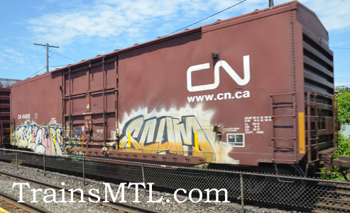 Car/wagon CN414818 right side / coté droit